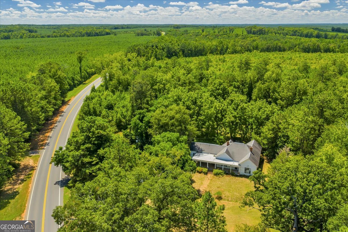 3442 Highway 83 Forsyth, GA 31029 - Photo 7 of 19 a view of lake with mountain