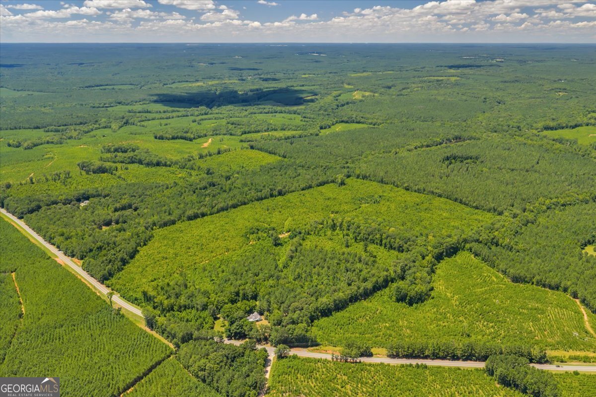 3442 Highway 83 Forsyth, GA 31029 - Photo 8 of 19 a view of a lush green outdoor space with a lake