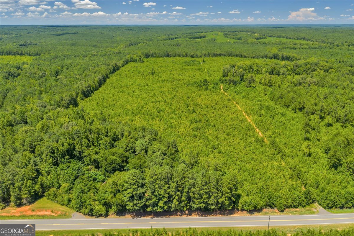 3442 Highway 83 Forsyth, GA 31029 - Photo 9 of 19 a view of a big yard