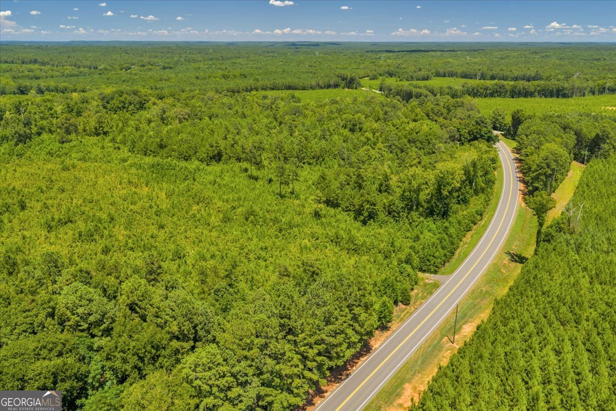 3442 Highway 83 Forsyth, GA 31029 - Photo 10 of 19 a view of a green yard from a balcony
