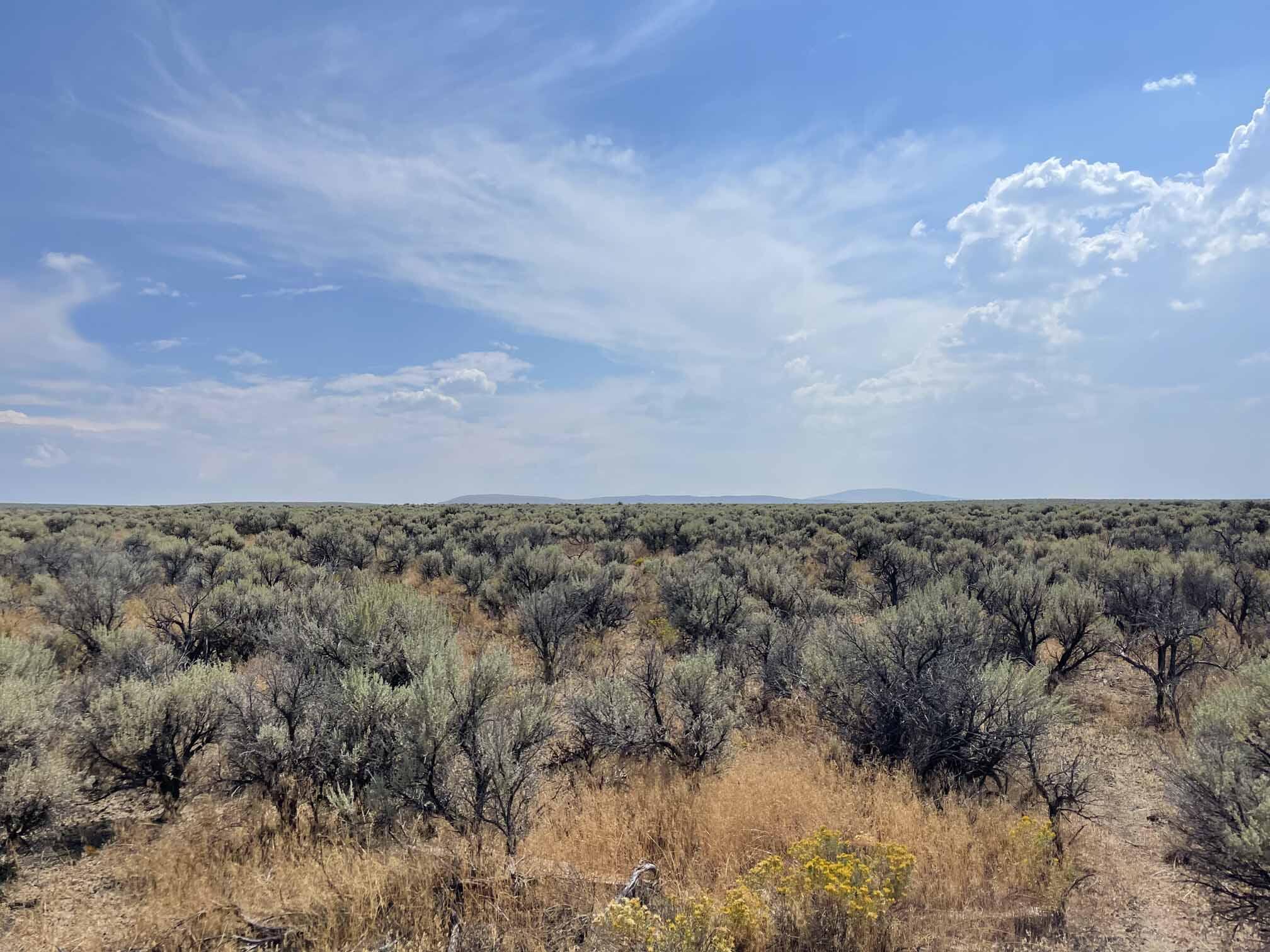 Christmas Valley, Unit TL Riley, OR 97758 - Photo 26 of 32 IMG_9682