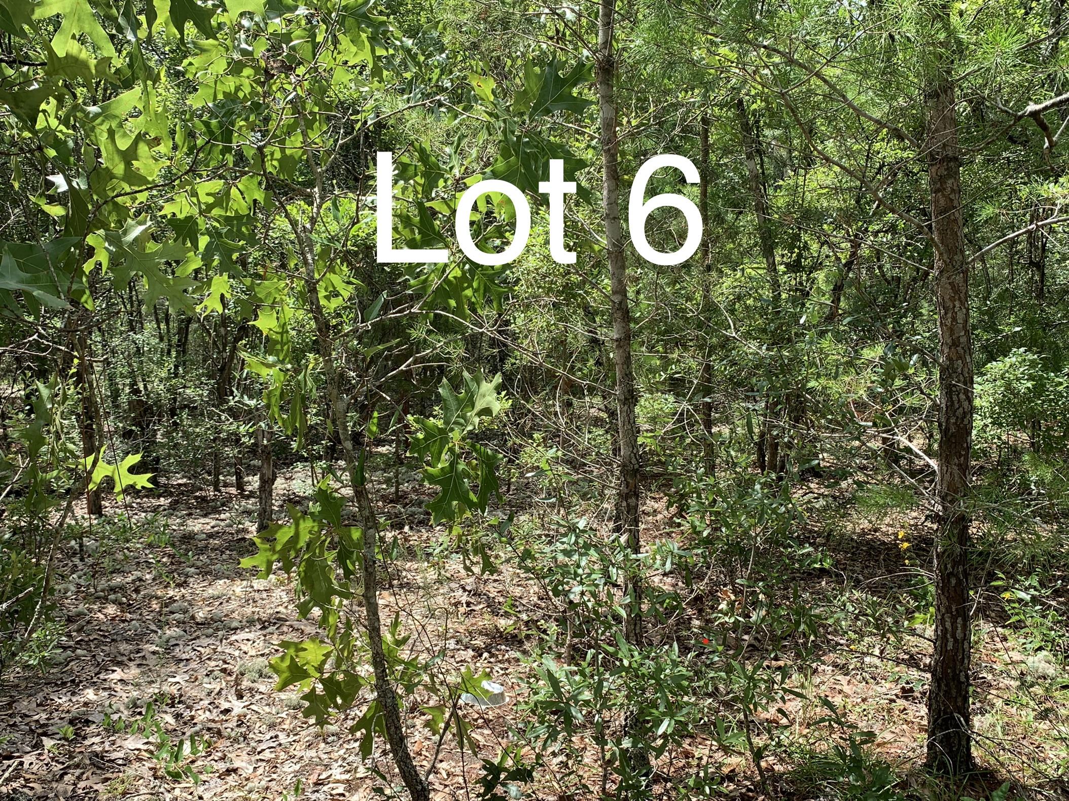 Lot 6 Oakridge Road DeFuniak Springs, FL 32433 - Photo 3 of 5 Gallery Image 3