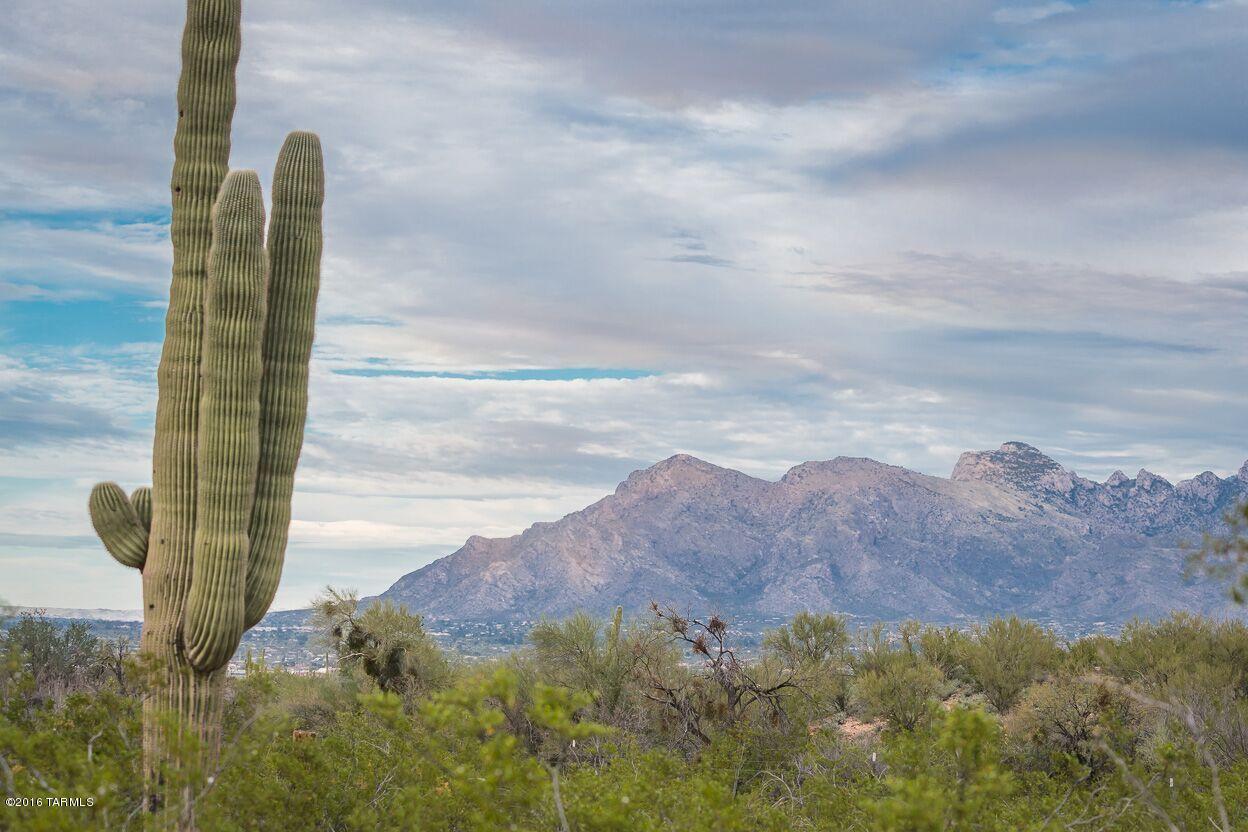 3119 West Morgan Road Tucson, AZ 85745 - Photo 5 of 33 Gallery Image 5