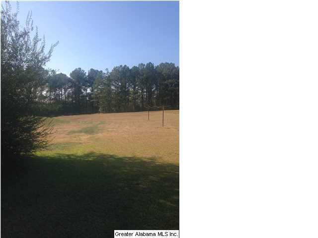 2400 Mayfield Road Warrior, AL 35180 - Photo 4 of 4