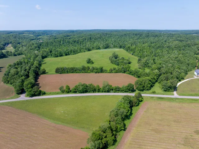 a view of a garden with a building in the background
