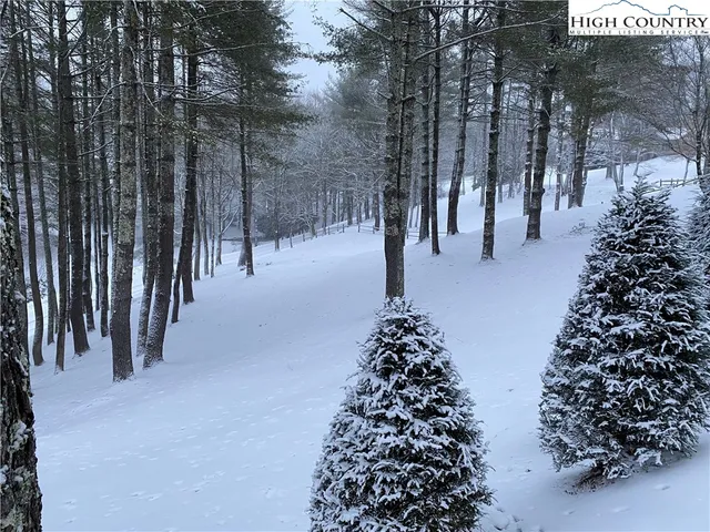 $1,650,000 | 198 Little Harbour, Vilas, NC 28692