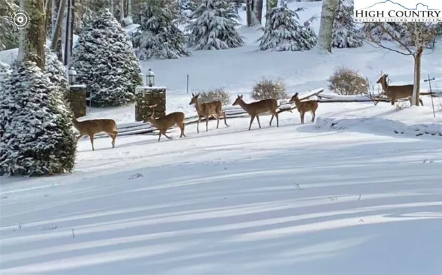 $1,650,000 | 198 Little Harbour, Vilas, NC 28692