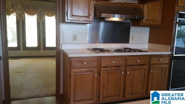 204 Viewpoint Circle Pell City, AL 35128 - Photo 25 of 49