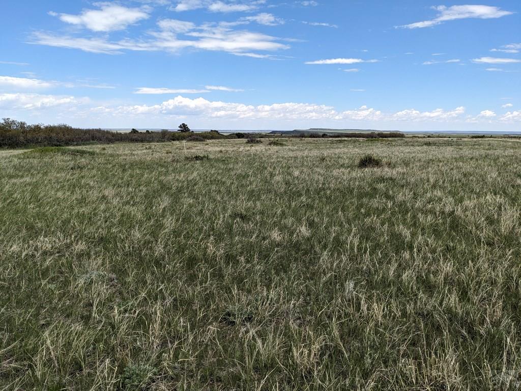 Tbd Honeywell Drive Rye, CO 81069 - Photo 6 of 16