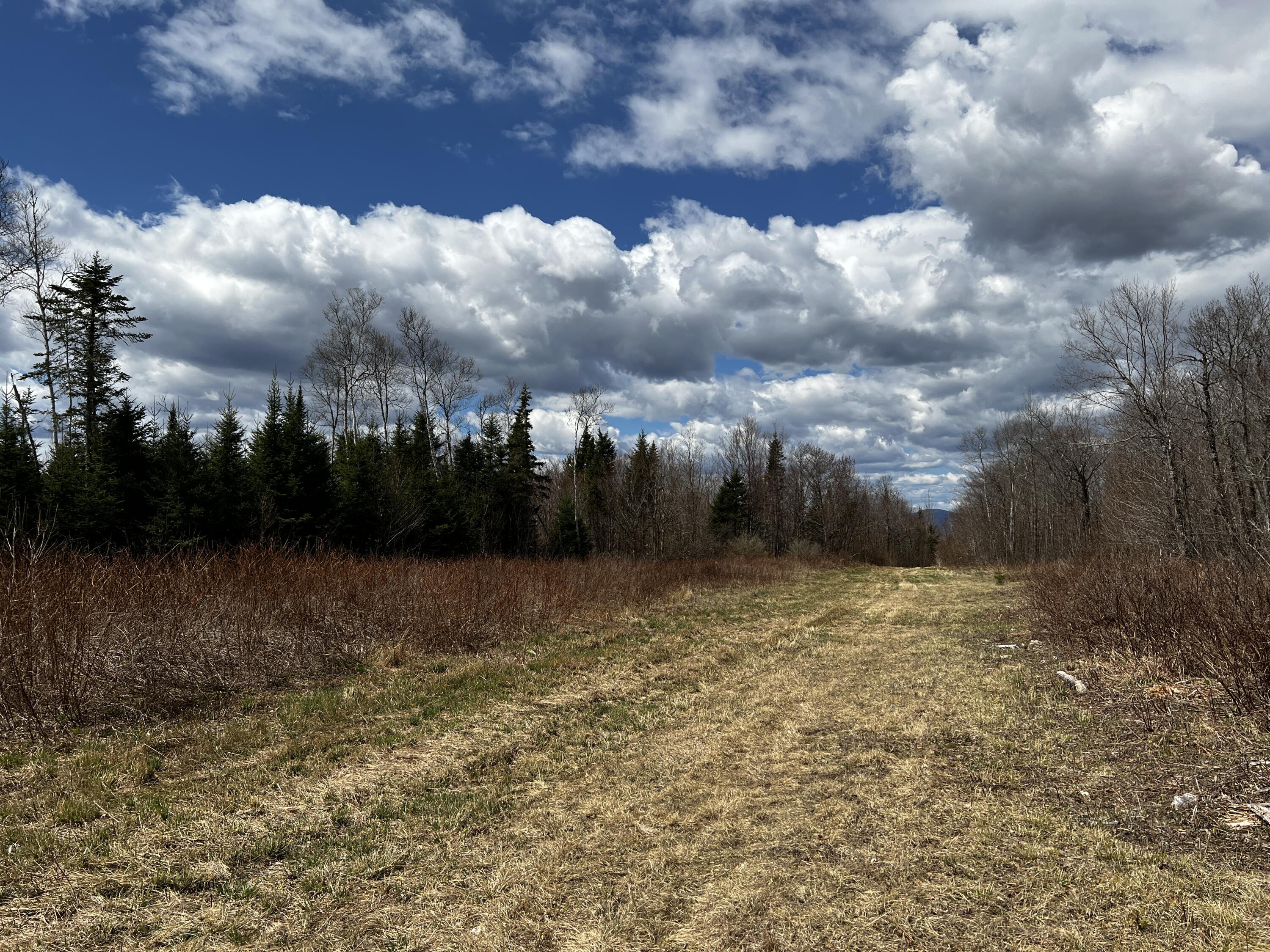 Lot 2-18 Shin Pond Rd Mount Mount Chase, ME 04765 - Photo 10 of 59
