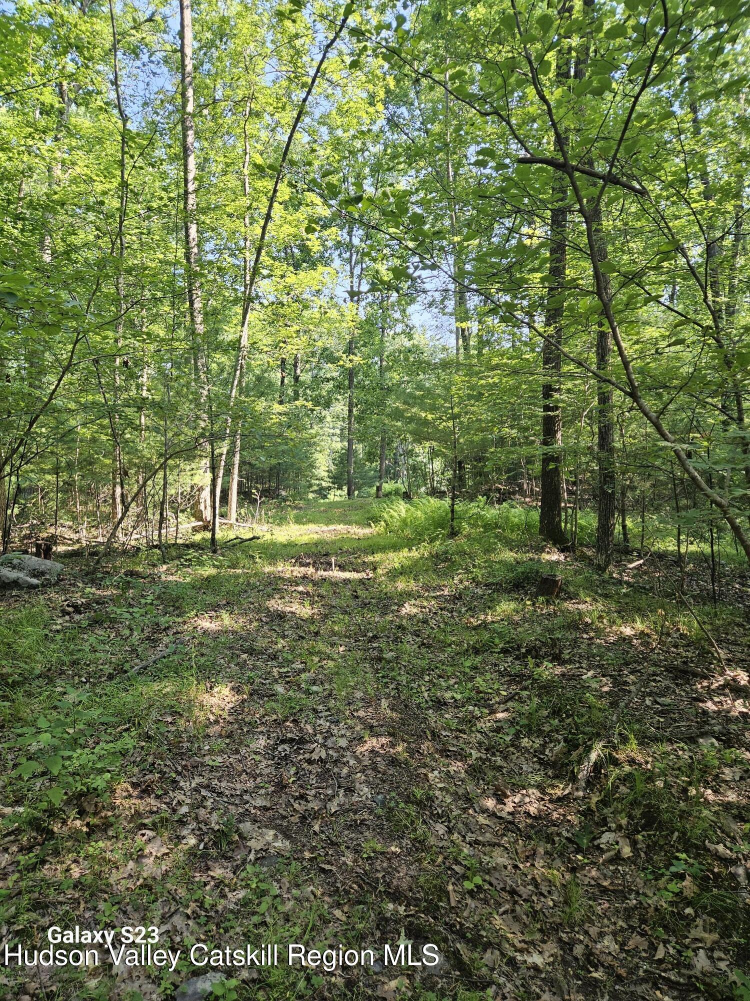 0 Hearts Content Road Catskill, NY 12414 - Photo 10 of 21 20260711_164456