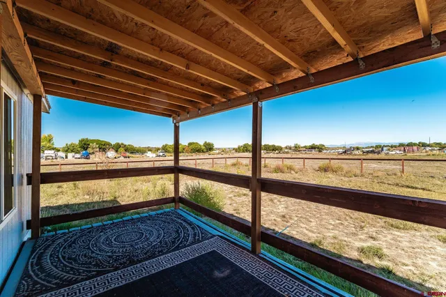 a view of backyard with large tree