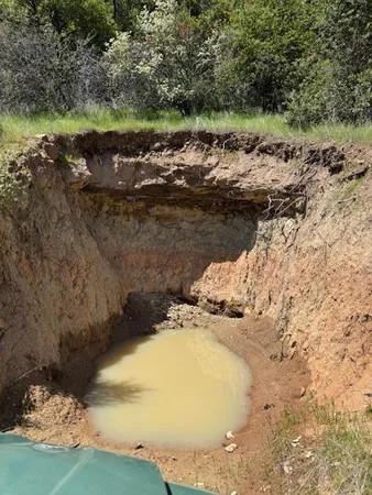 a view of a field with an trees in the background