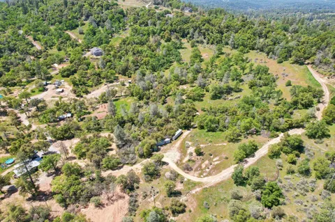 a view of a big yard with lots of bushes