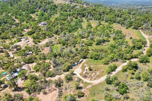 a view of a big yard with lots of bushes