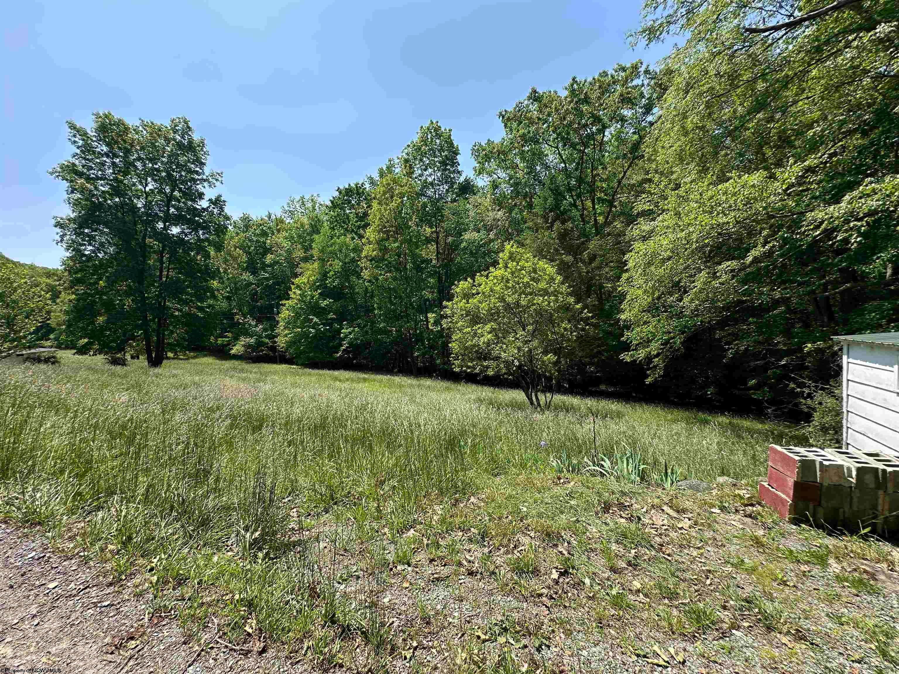 524 Mount Union Road Buckhannon, WV 26201 - Photo 9 of 27 Gallery Image 9
