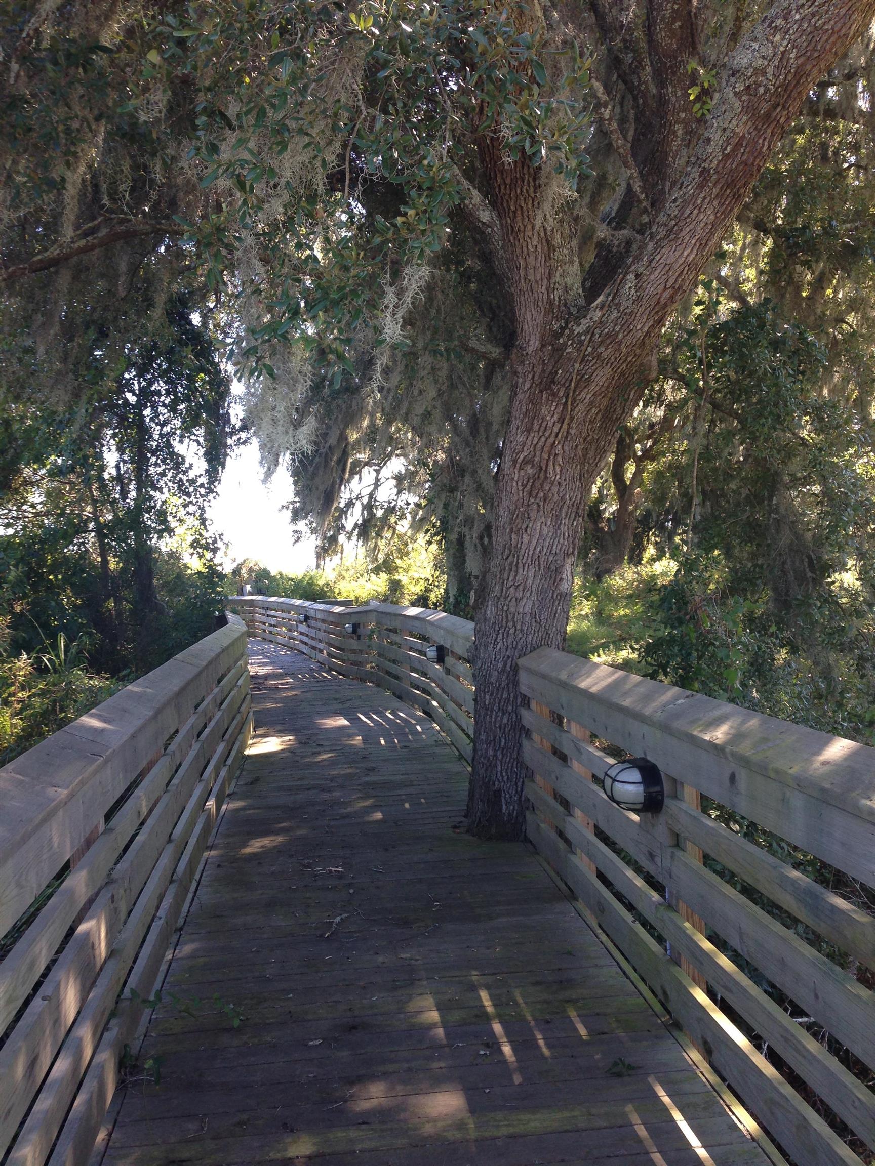 Lot 142 Millbank Road Georgetown, SC 29440 - Photo 20 of 28