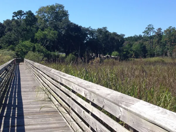 $659,000 | Lot 142 Millbank Road, Georgetown, SC 29440