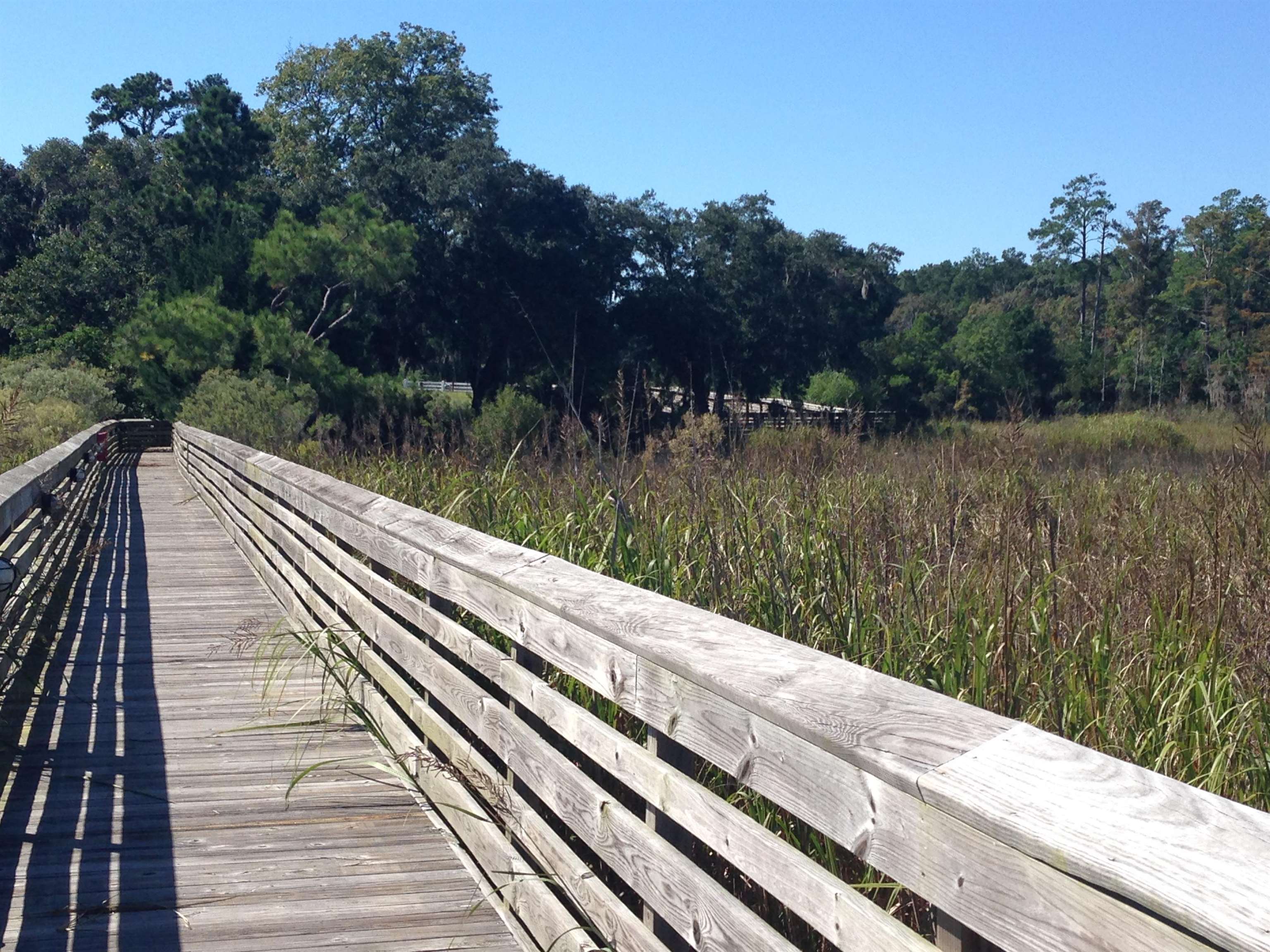 Lot 142 Millbank Road Georgetown, SC 29440 - Photo 21 of 28