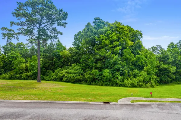 $659,000 | Lot 142 Millbank Road, Georgetown, SC 29440