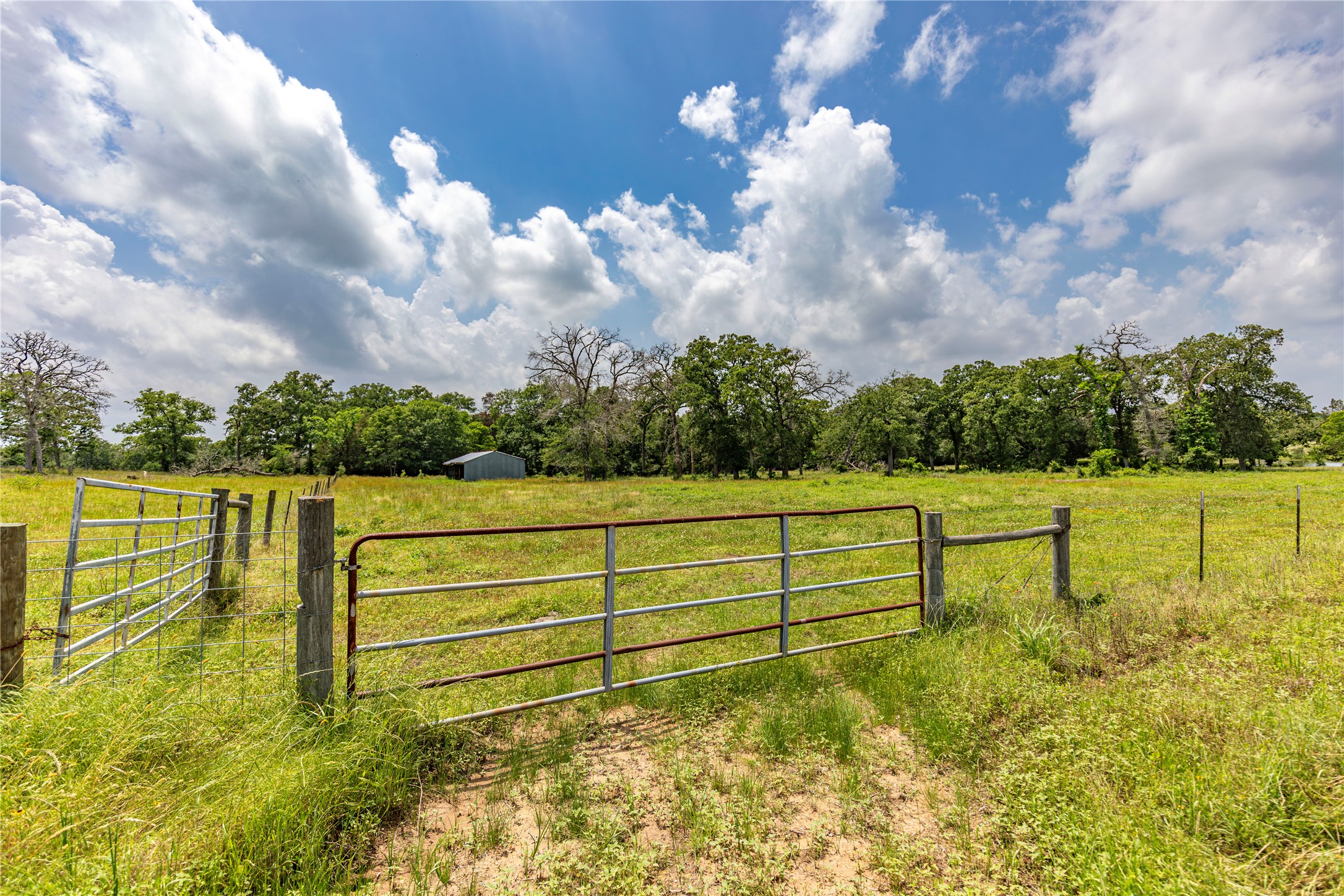 Lot 2 Mill Creek Ranch Road Bellville, TX 77418 - Photo 5 of 11 a view of a lake with a big yard
