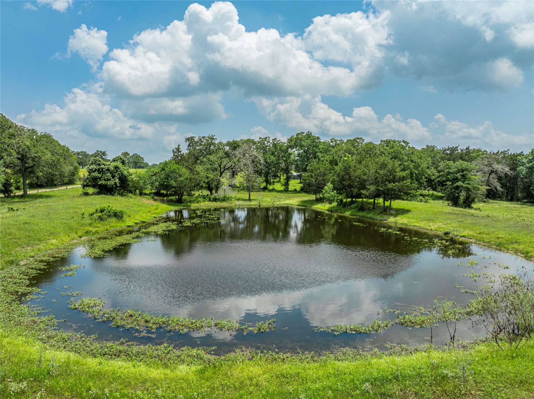 Lot 2 Mill Creek Ranch Road Bellville, TX 77418 - Photo 6 of 11 a view of a lake with a yard