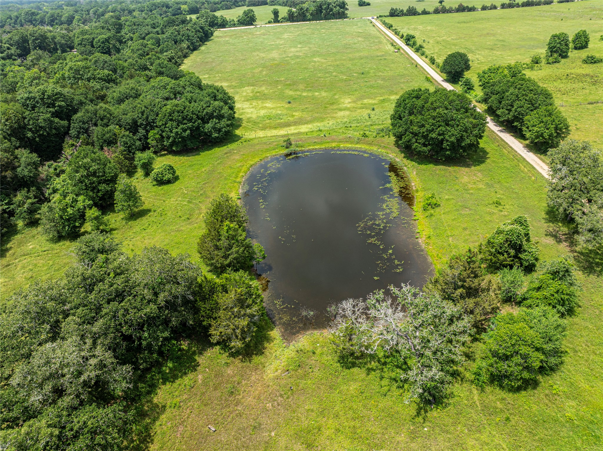 Lot 2 Mill Creek Ranch Road Bellville, TX 77418 - Photo 7 of 11 an aerial view of a residential houses with outdoor space and trees all around