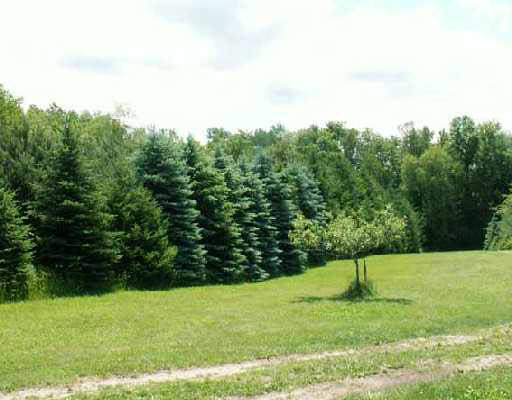 22655 Madison Road South Bend, IN 46614 - Photo 7 of 8 Gallery Image 7