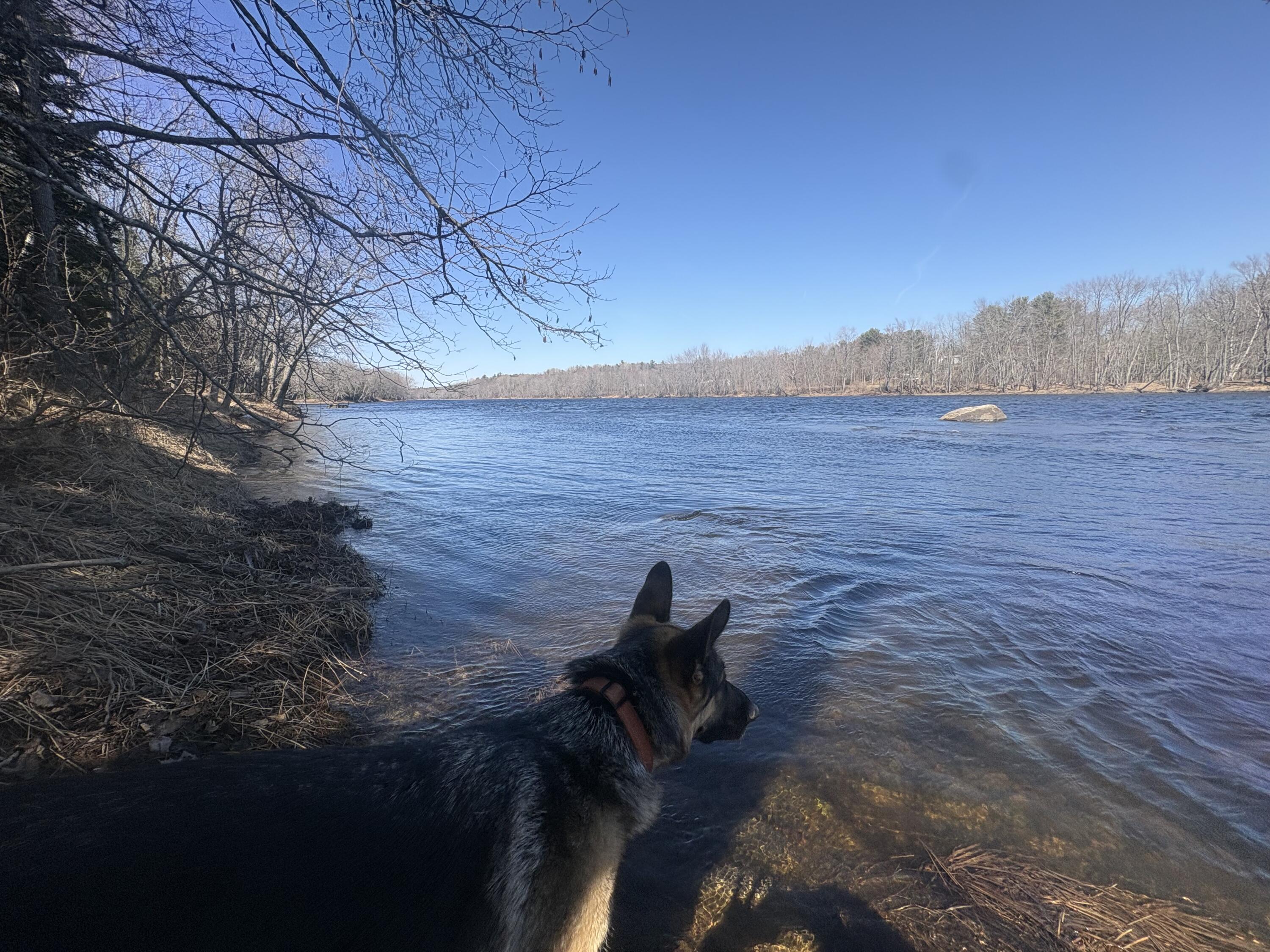 Lot 4 West Indian Road Lincoln, ME 04457 - Photo 19 of 29 IMG_6275