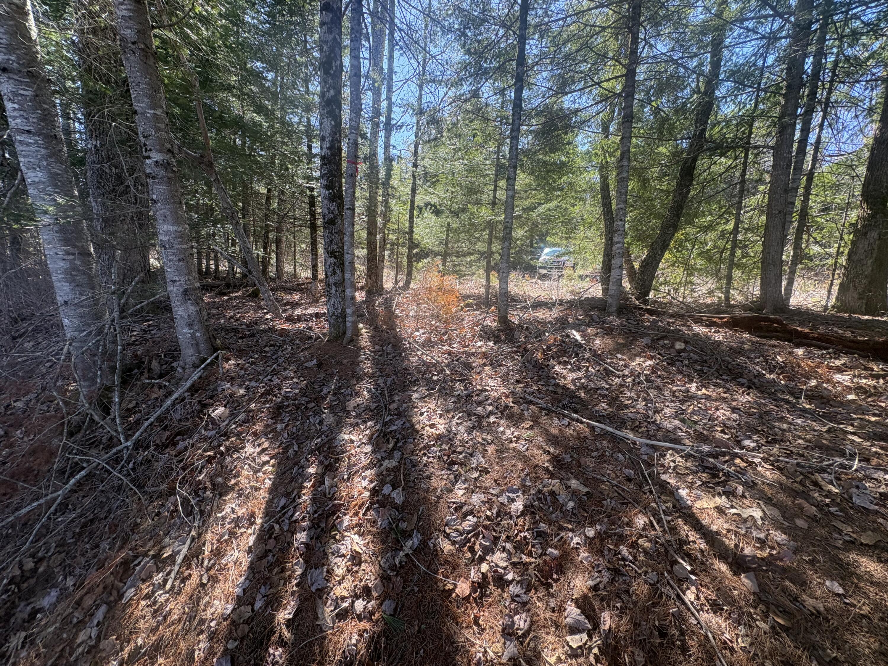 Lot 4 West Indian Road Lincoln, ME 04457 - Photo 21 of 29 IMG_6273