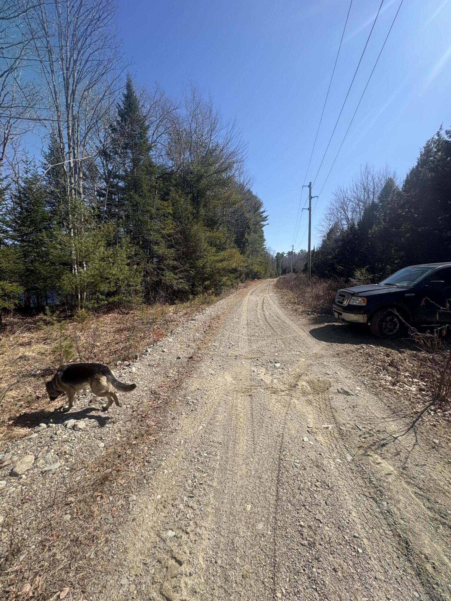 Lot 4 West Indian Road Lincoln, ME 04457 - Photo 26 of 29 IMG_6264