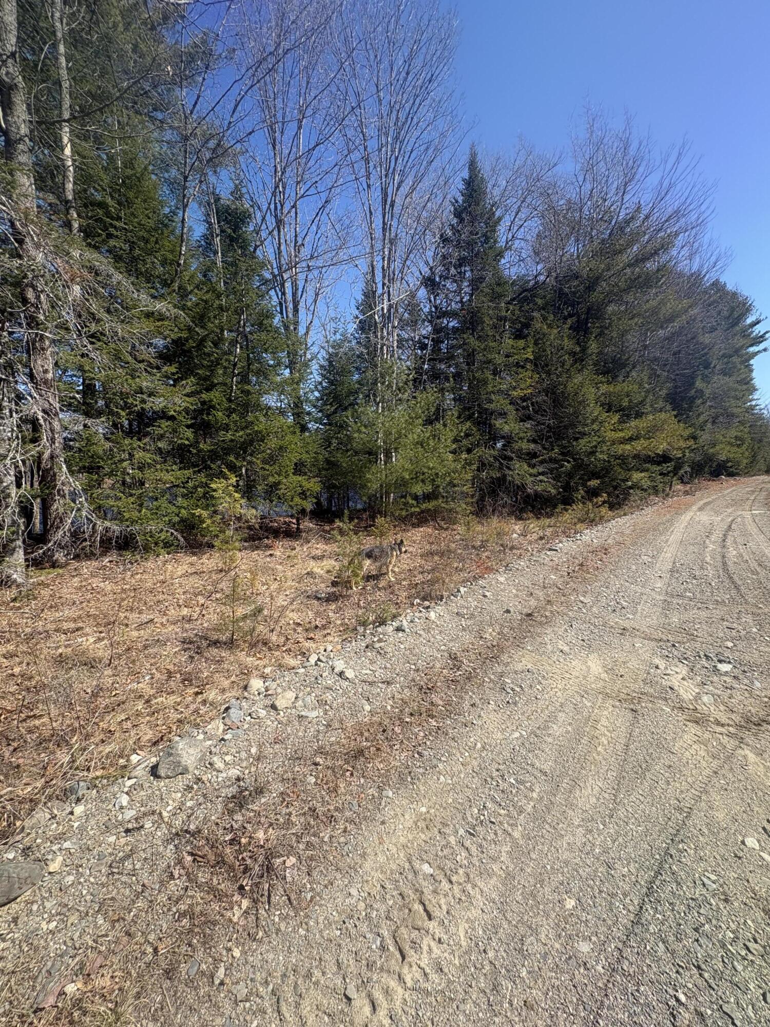 Lot 4 West Indian Road Lincoln, ME 04457 - Photo 27 of 29 IMG_6265