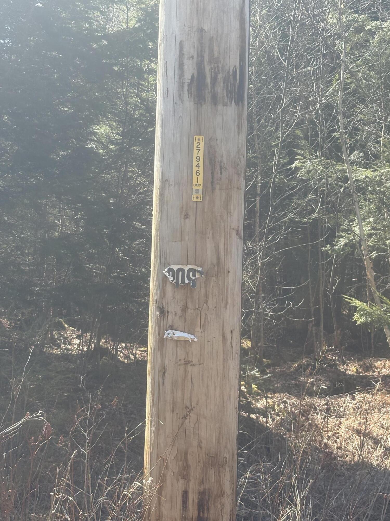 Lot 4 West Indian Road Lincoln, ME 04457 - Photo 29 of 29 IMG_6267