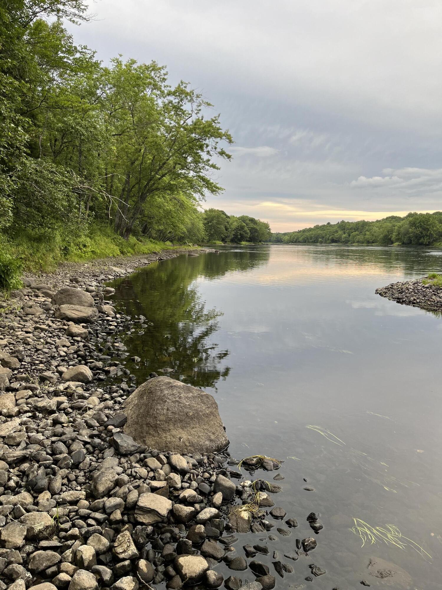 Lot 4 West Indian Road Lincoln, ME 04457 - Photo 4 of 29 IMG_2067