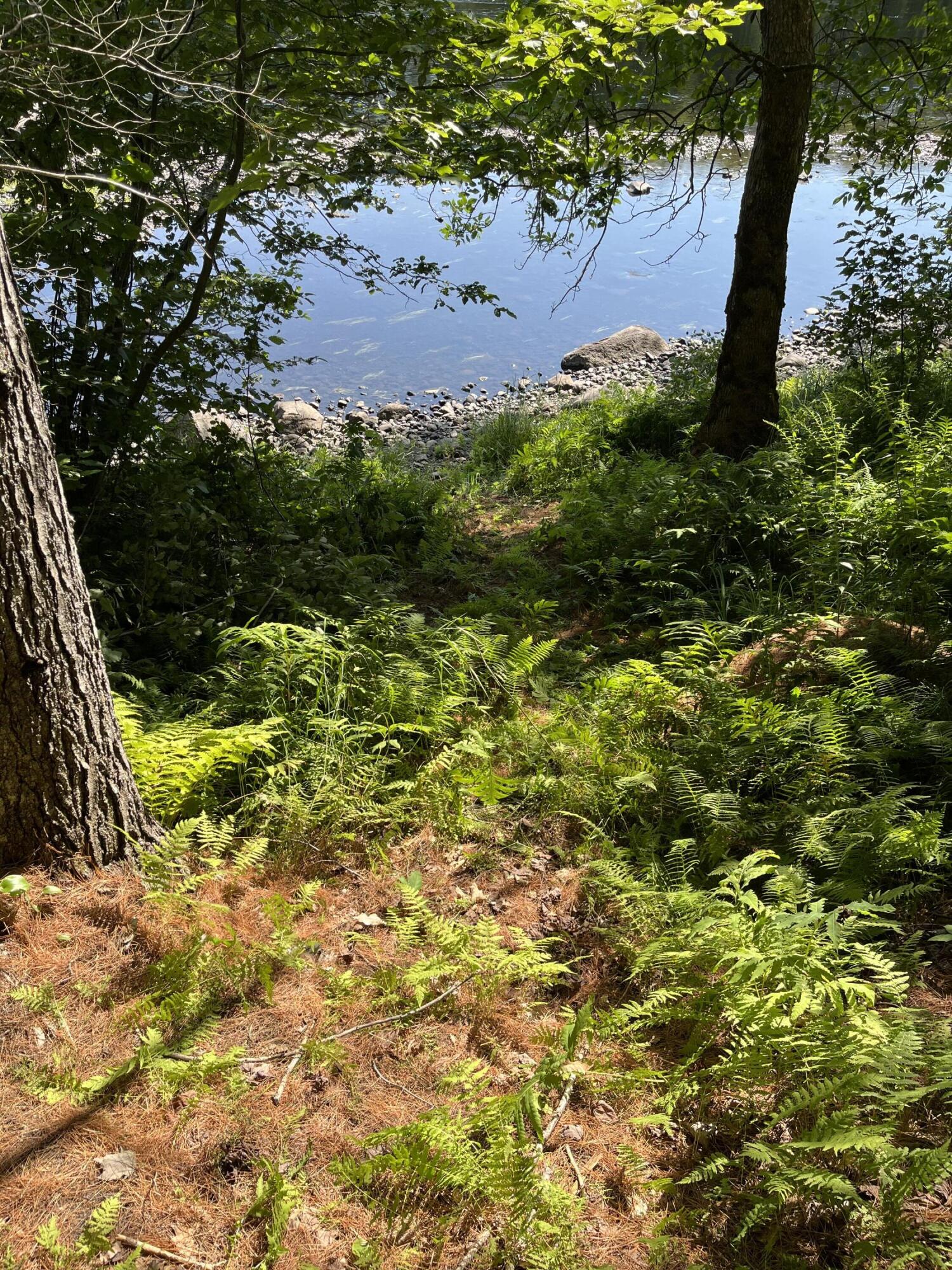 Lot 4 West Indian Road Lincoln, ME 04457 - Photo 5 of 29 IMG_2079