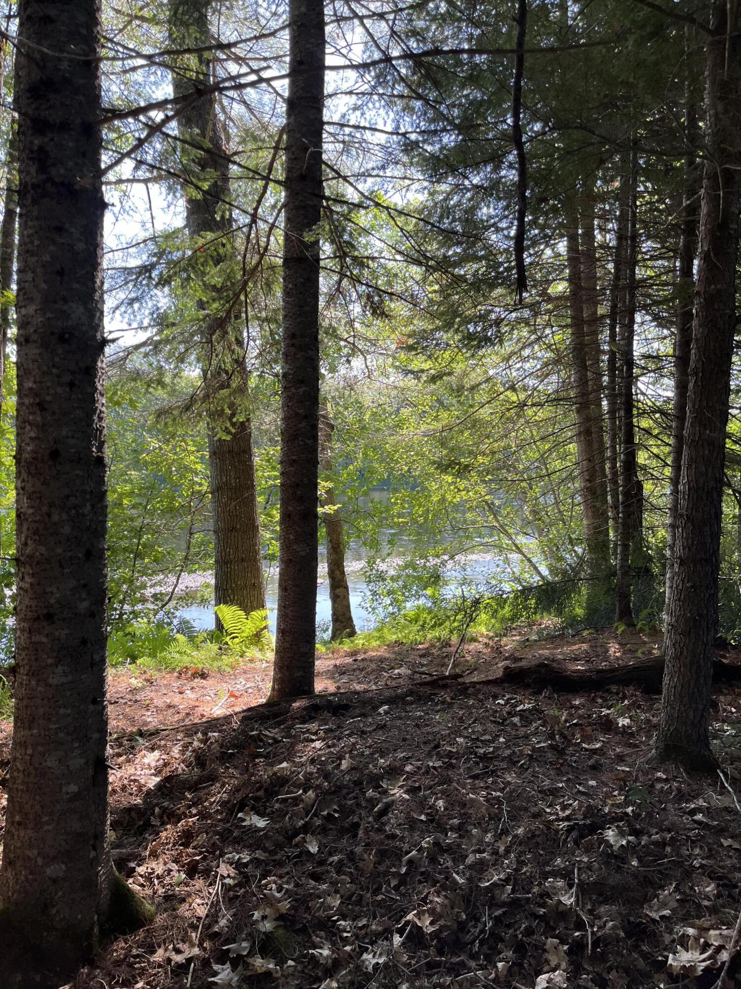 Lot 4 West Indian Road Lincoln, ME 04457 - Photo 6 of 29 IMG_2084