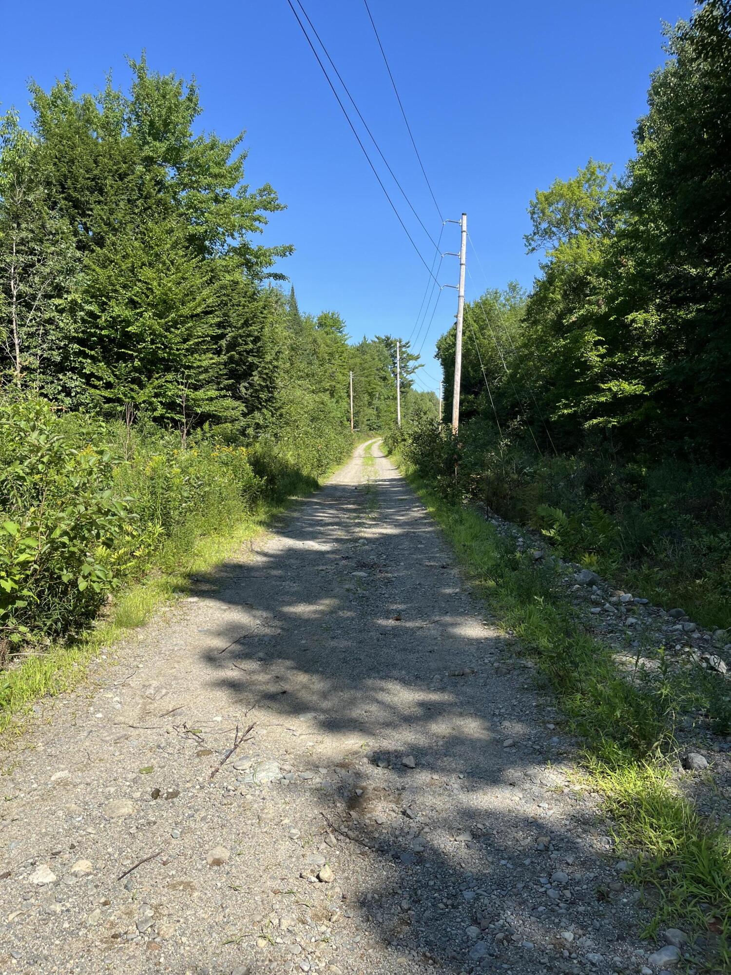 Lot 4 West Indian Road Lincoln, ME 04457 - Photo 10 of 29 IMG_2075