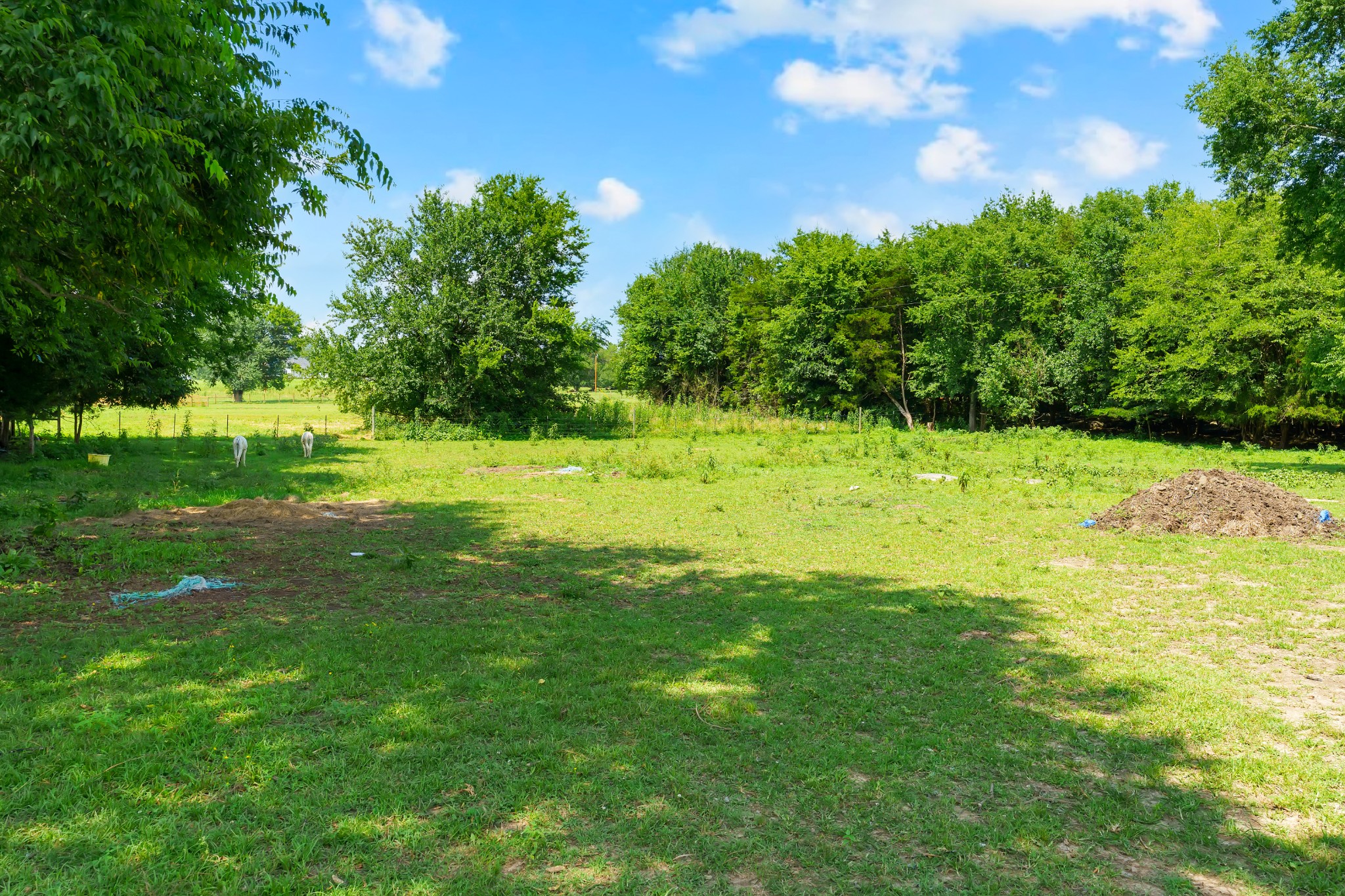2943 Cheese Road Petersburg, TN 37144 - Photo 38 of 43 Gallery Image 38