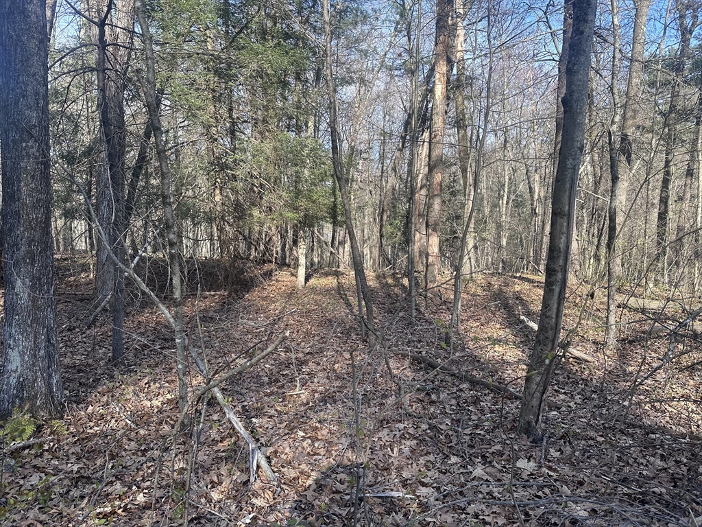 0 Cutler Road Warren, MA 01083 - Photo 3 of 4
