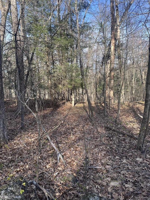 0 Cutler Road Warren, MA 01083 - Photo 4 of 4