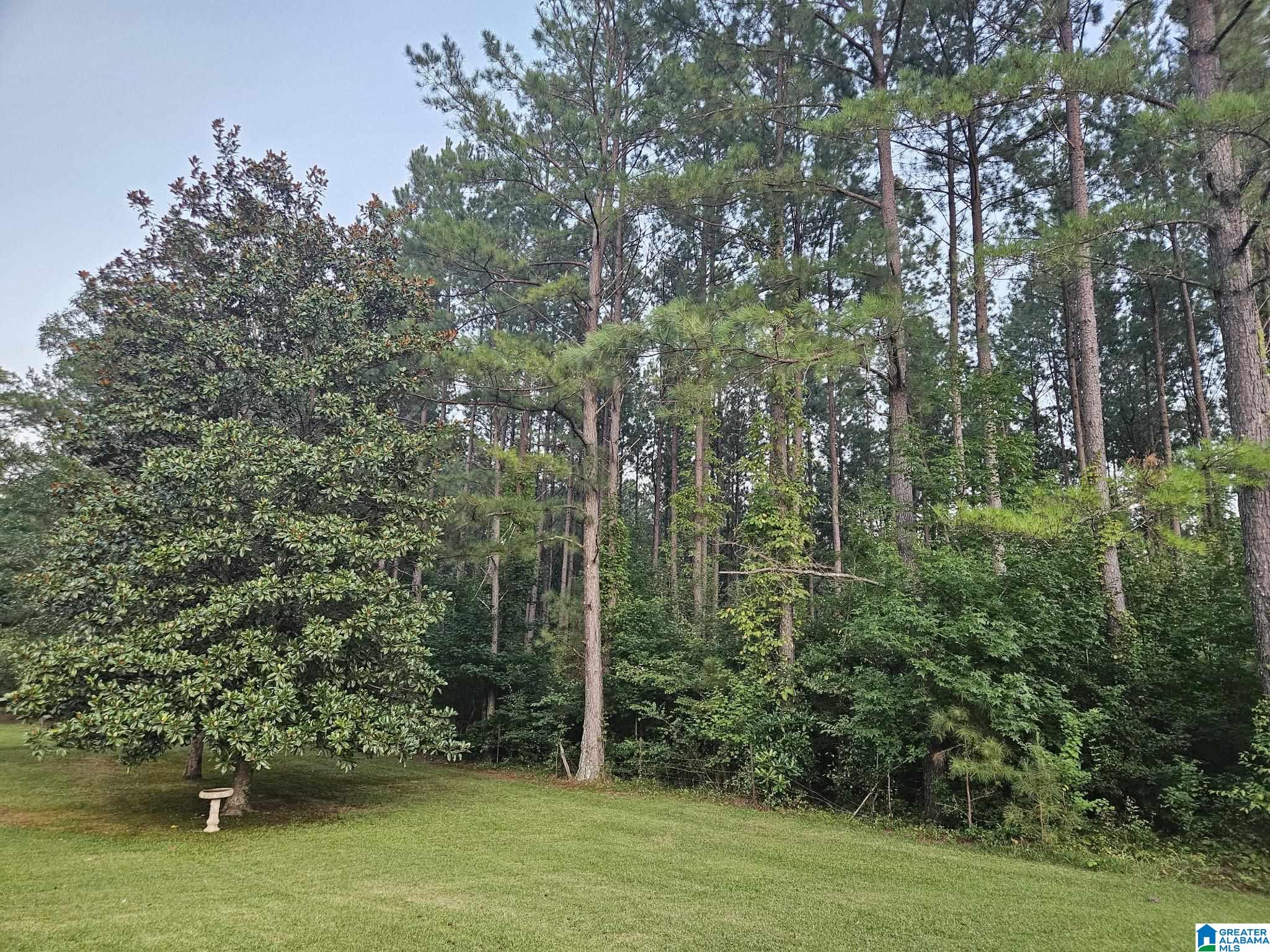 1809 Blue Ridge Road Lineville, AL 36266 - Photo 6 of 69