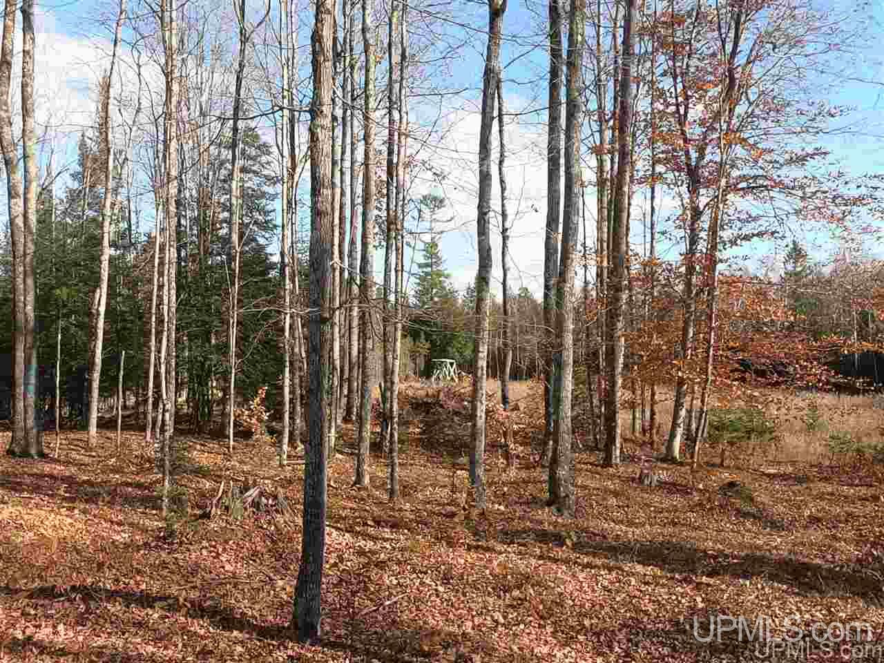 Tbd Tbd Vega Road Hermansville, MI 49847 - Photo 8 of 11