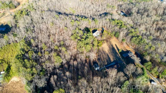 a view of under tree