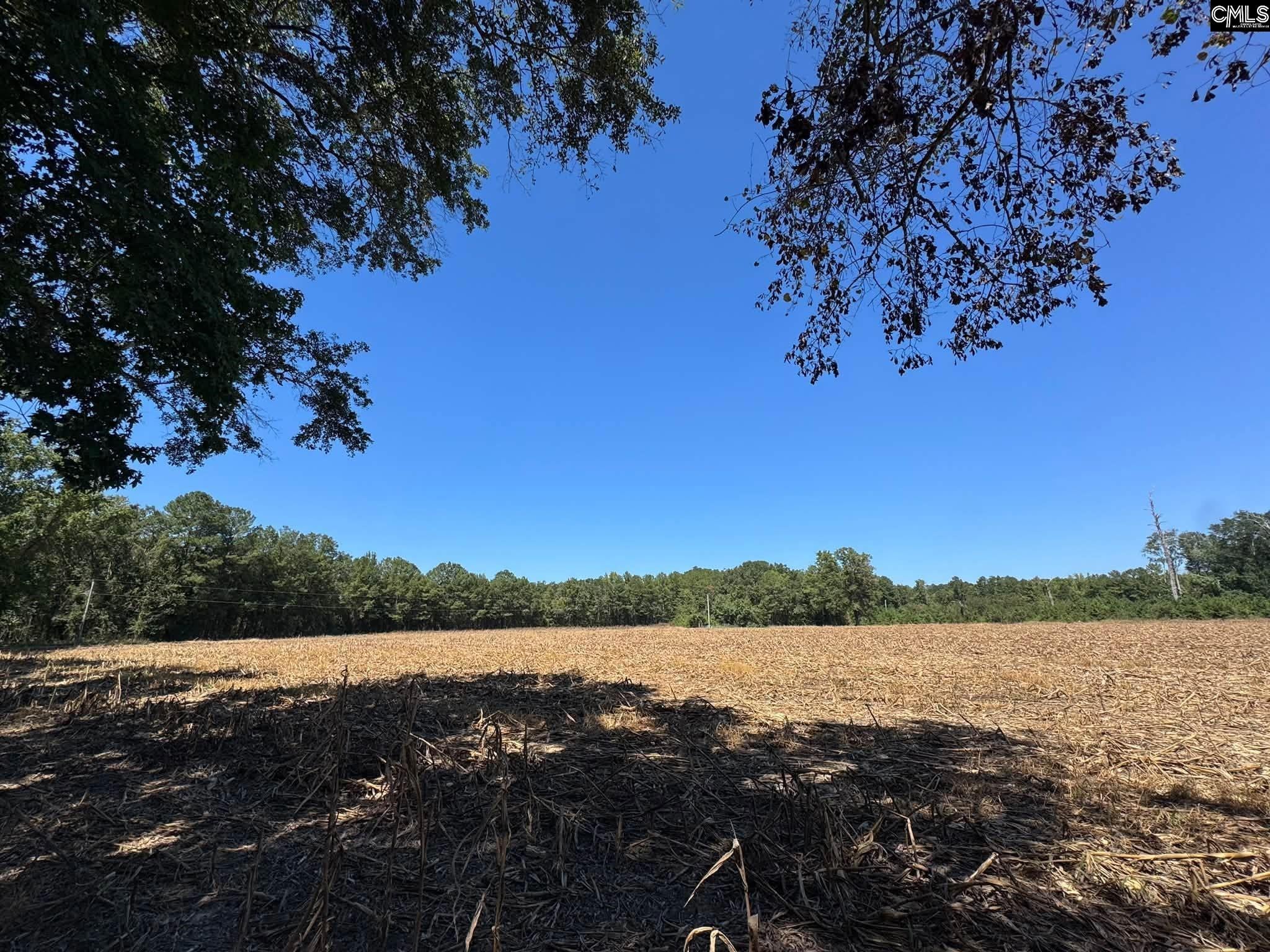 St Matthews Church Road Sumter, SC 29153 - Photo 34 of 34 Gallery Image 34