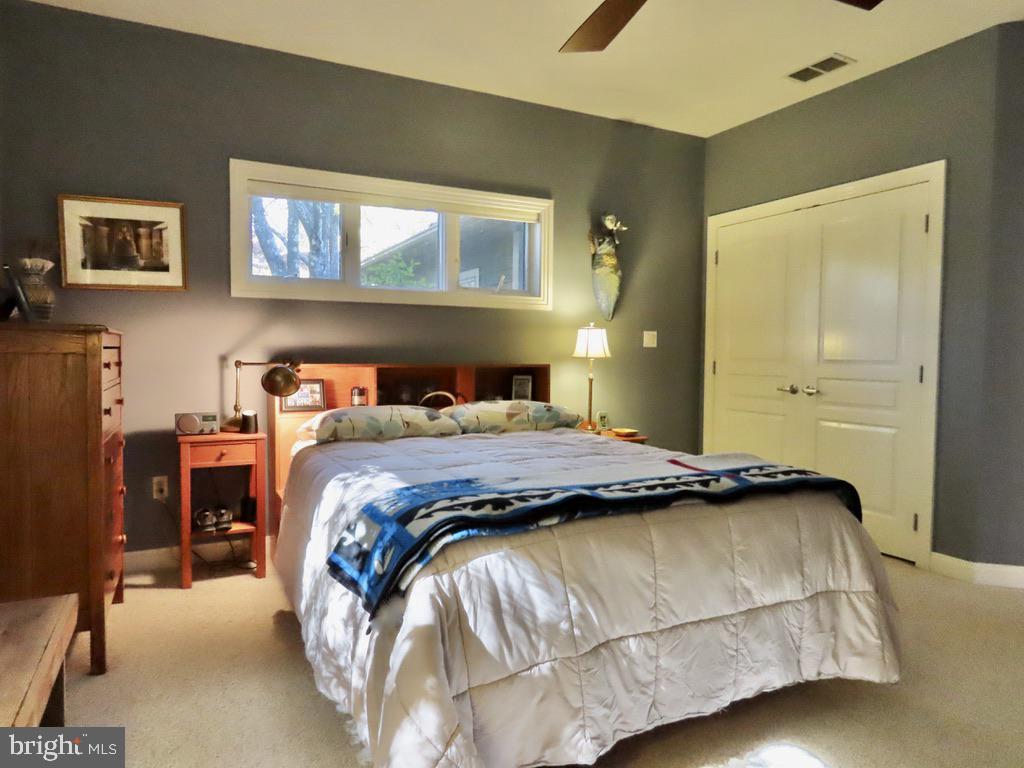 3016 Etlan Road Etlan, VA 22719 - Photo 23 of 42 Walk-in closet plus a second large closet
