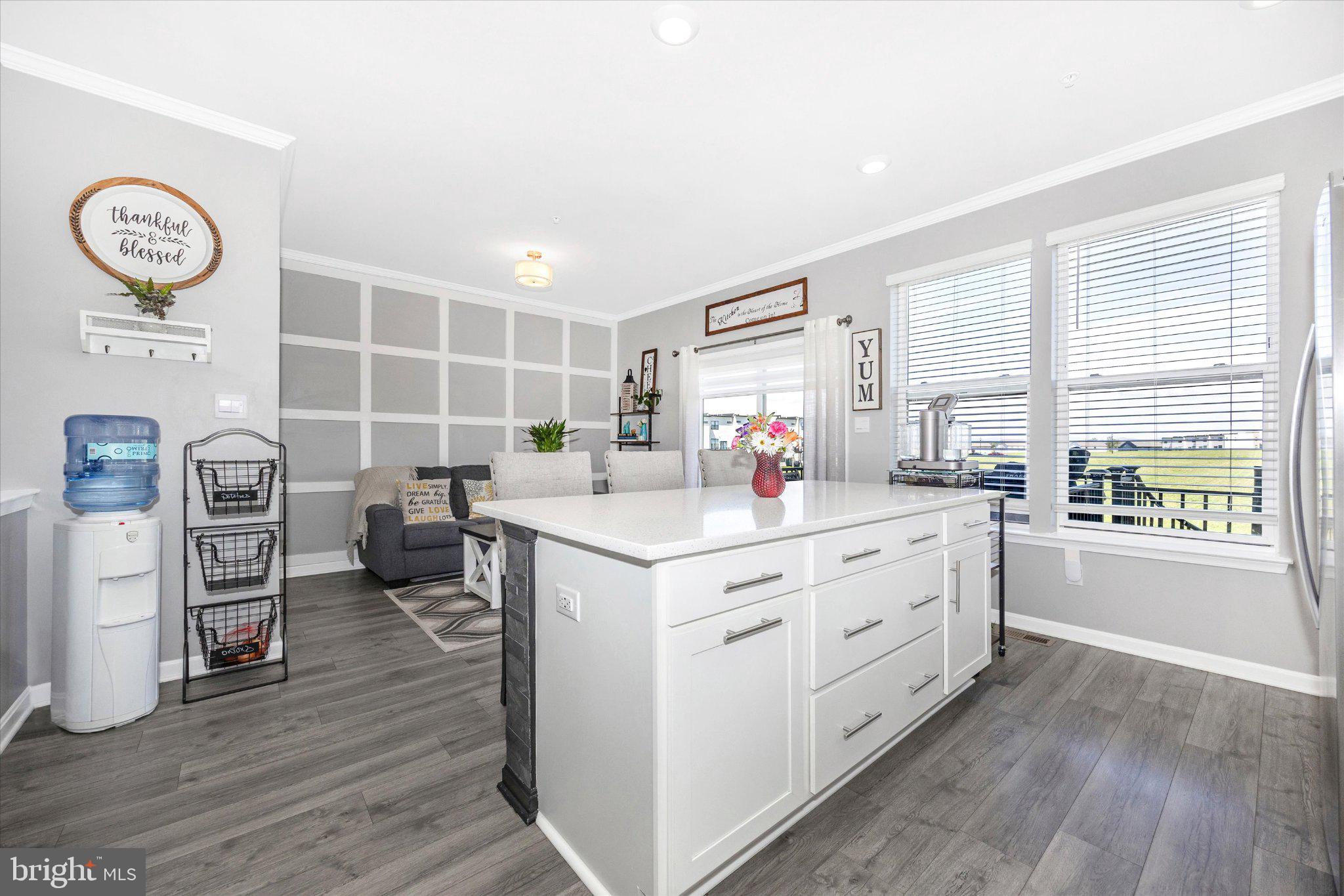 867 Amity Street Frederick, MD 21701 - Photo 25 of 61 Bright and airy modern kitchen space.