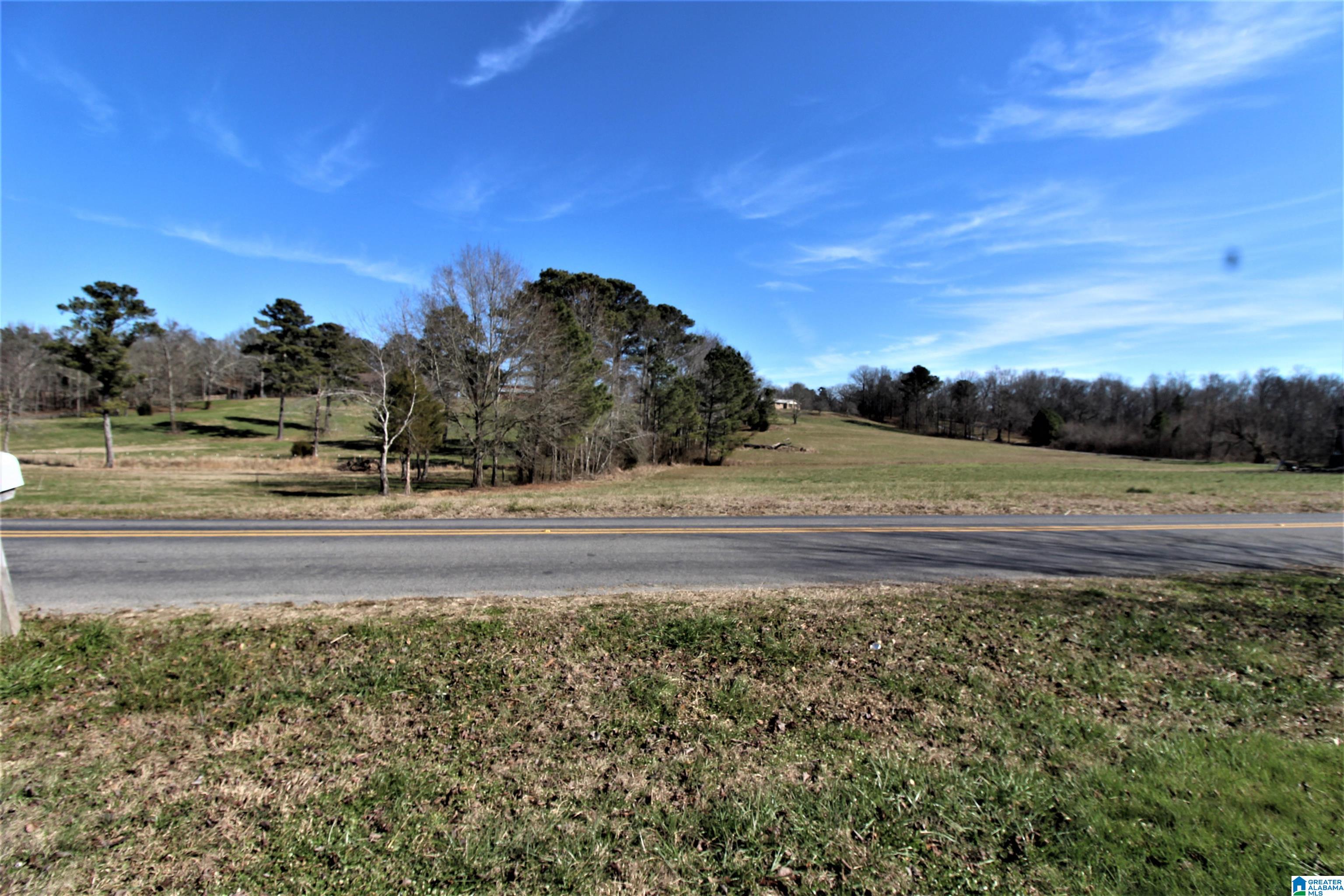 4108 Pine Mountain Road Remlap, AL 35133 - Photo 24 of 30