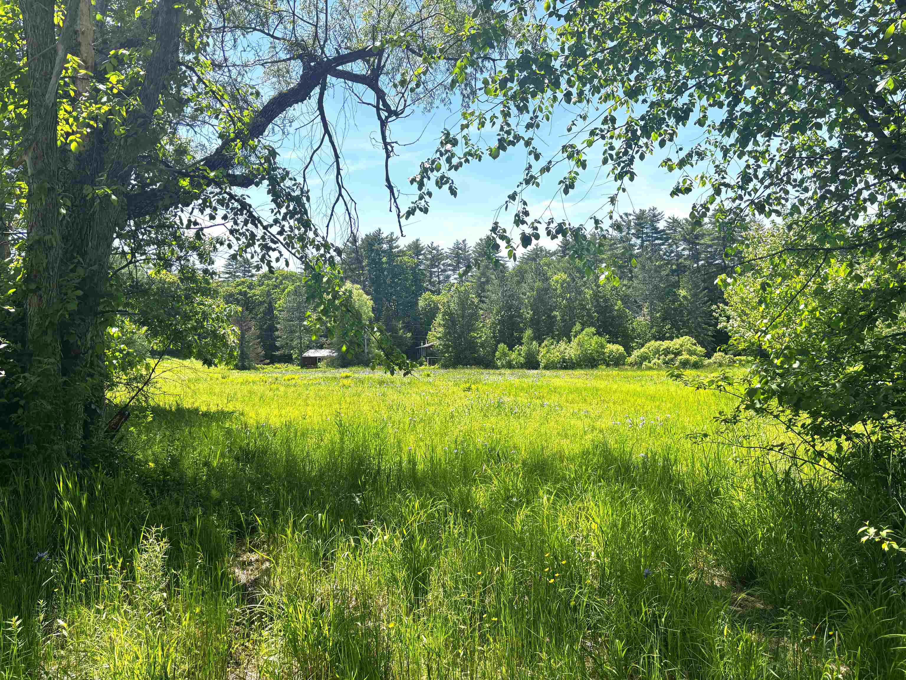 311 Fairgrounds Road Bradford, NH 03221 - Photo 45 of 49