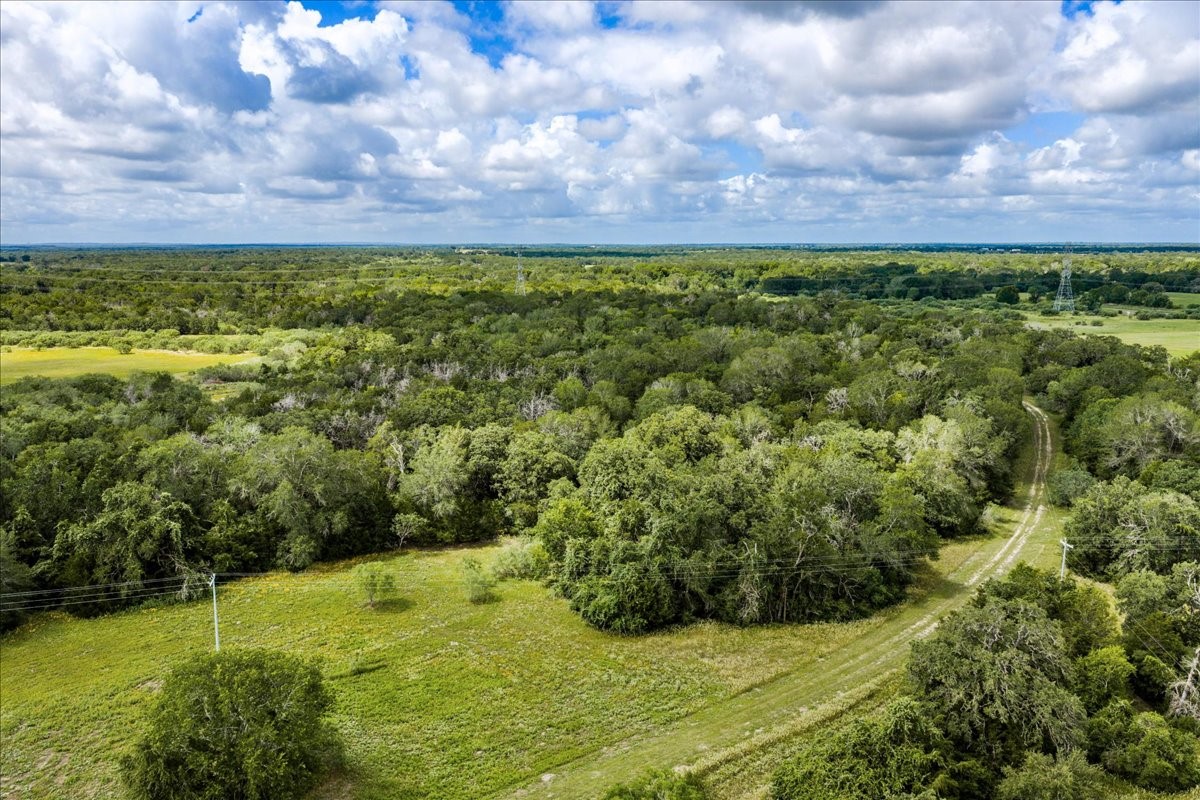 2845 Boehnke Road Muldoon, TX 78949 - Photo 19 of 39 a view of yard with grass