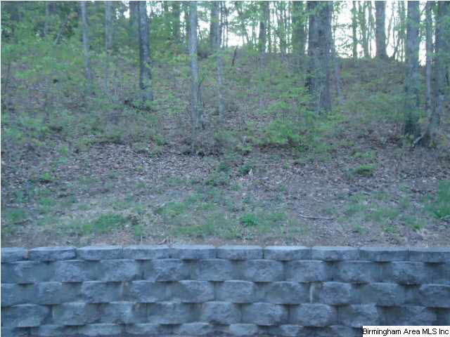 831 Robin Hill Road Oneonta, AL 35121 - Photo 2 of 4